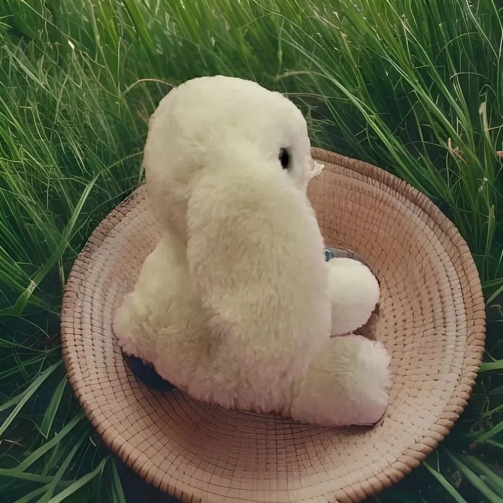 Bearington Lil‎ Whisker White 6